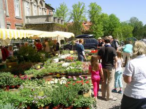 Pflanzen vor dem Herrenhaus